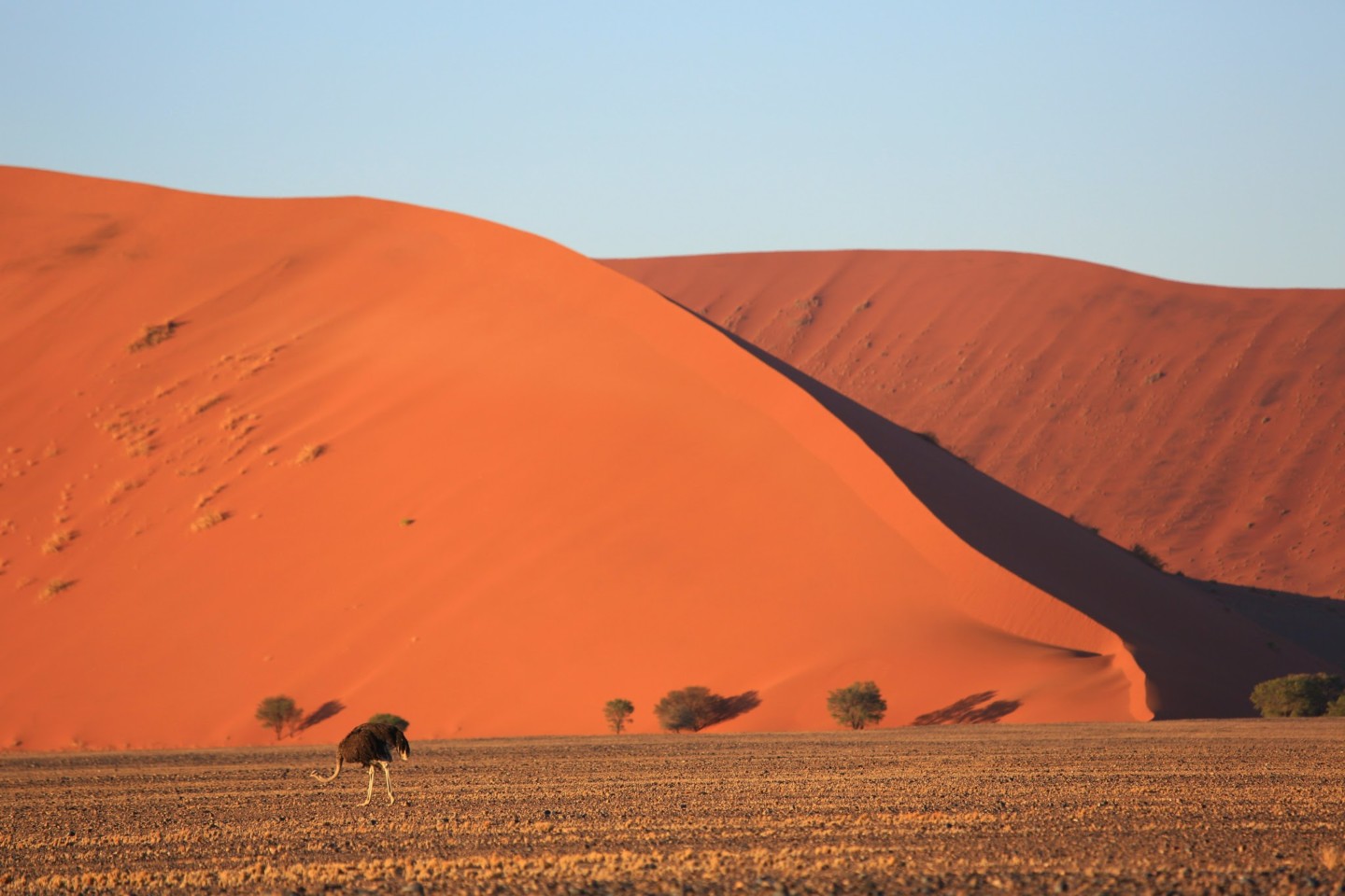 Sossusvlei Sand Dunes, Namibia