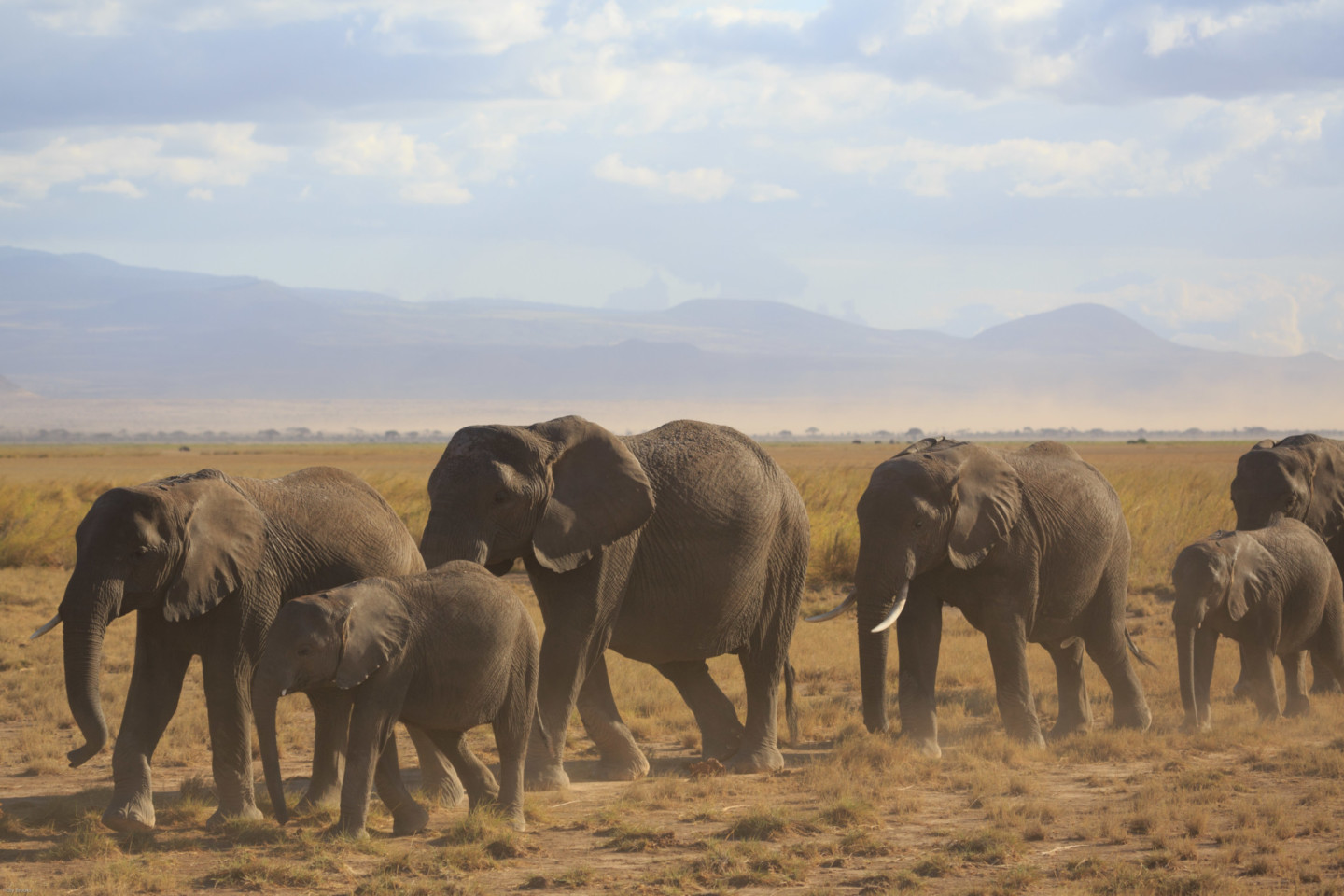 Serengetti, Tanzania