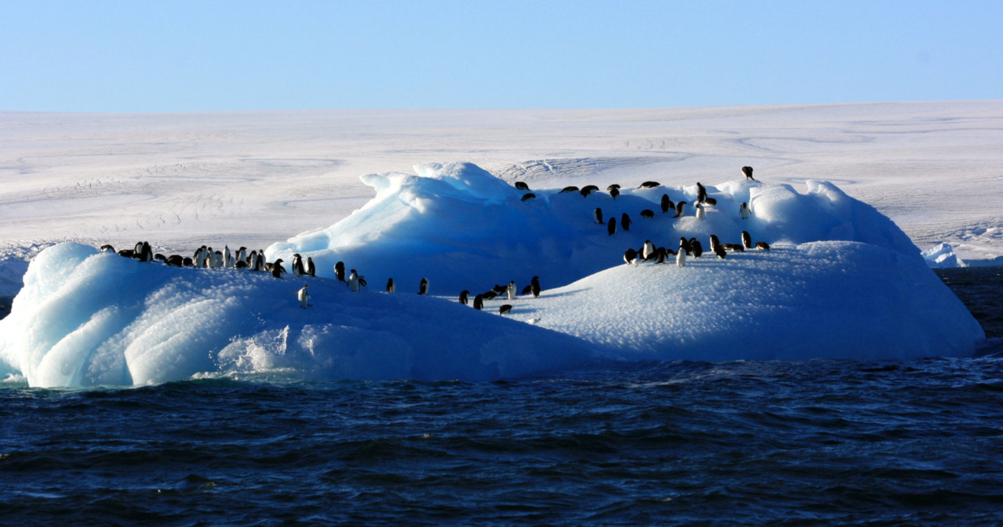 Antarctica