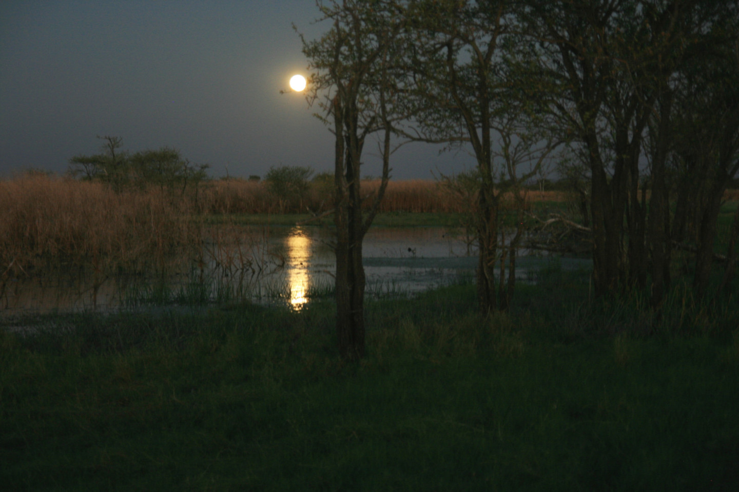 Parry's Creek, Northern Territory, Australia