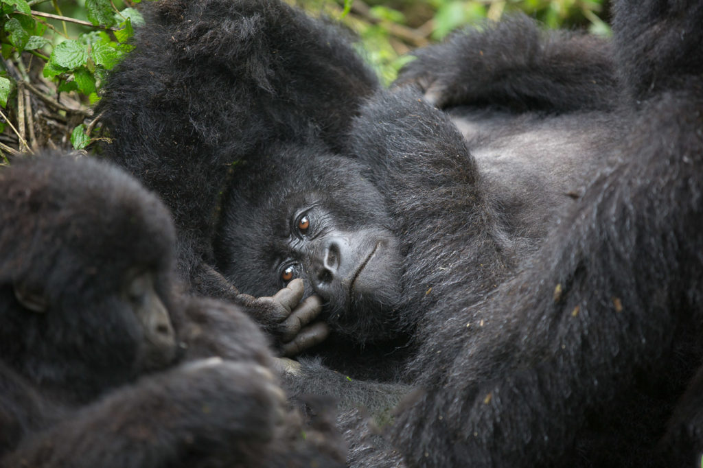 2014-09-03-africa-9815-edit