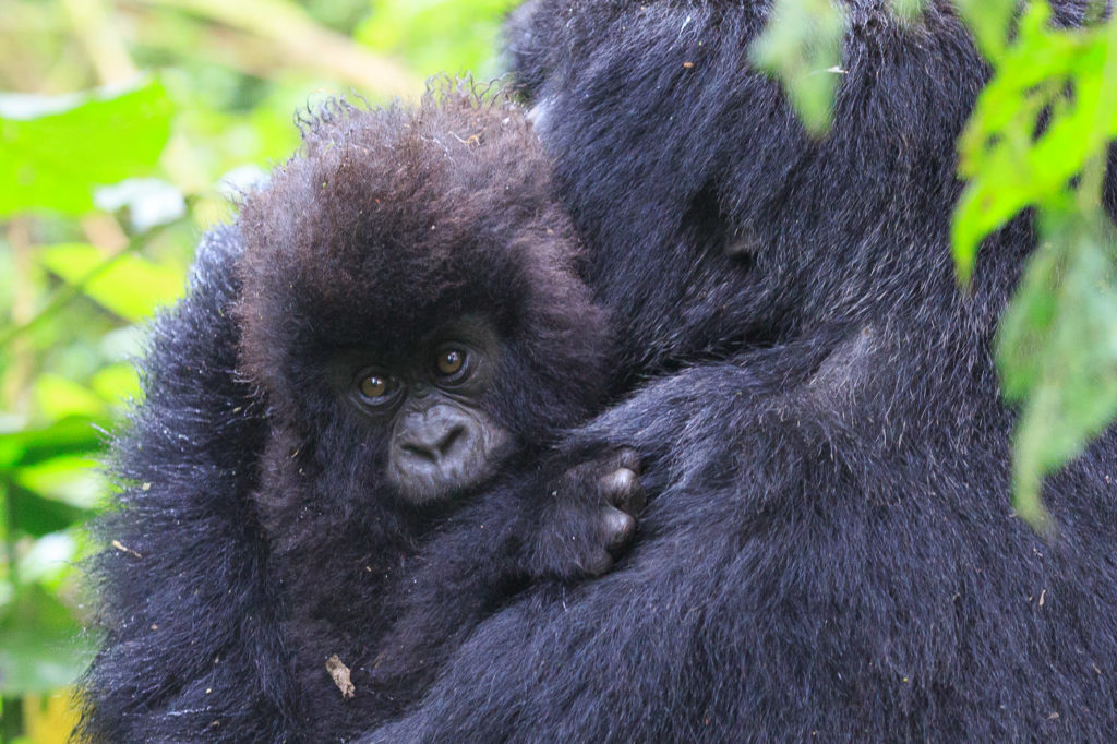 2014-09-03-africa-9901