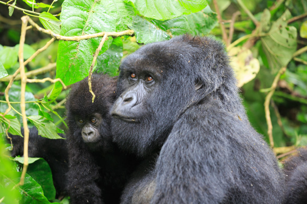 2014-09-03-africa-9956