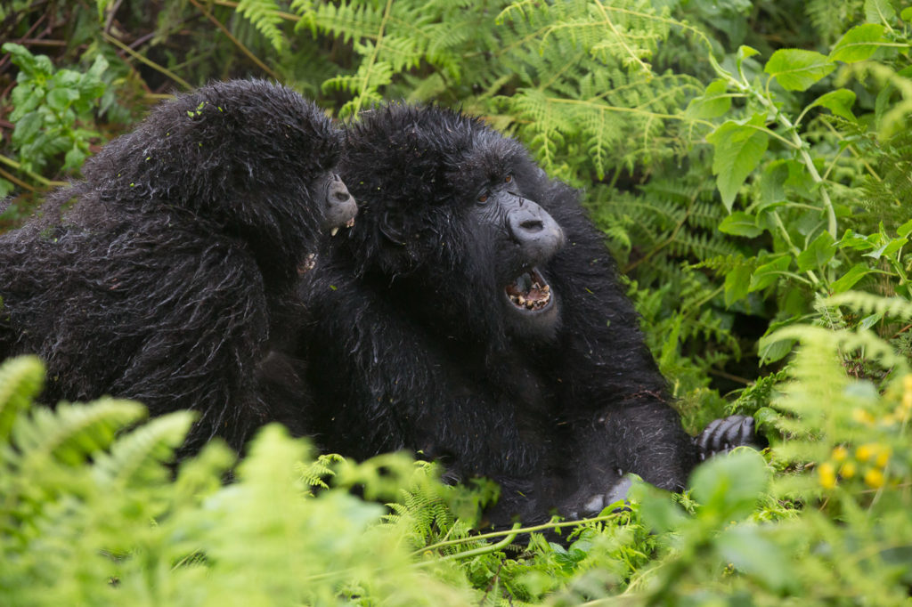 2014-09-04-africa-0347-edit