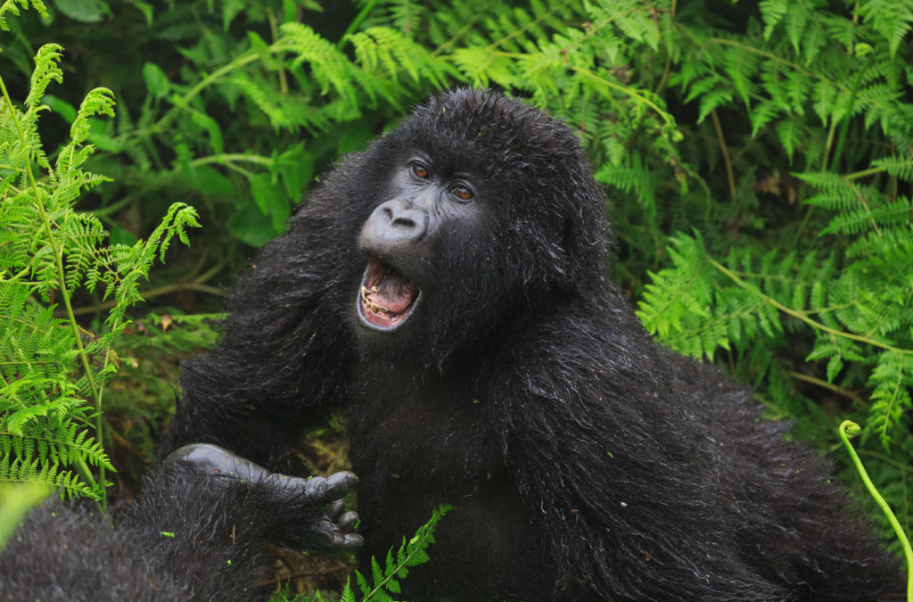 2014-09-04-africa-0362