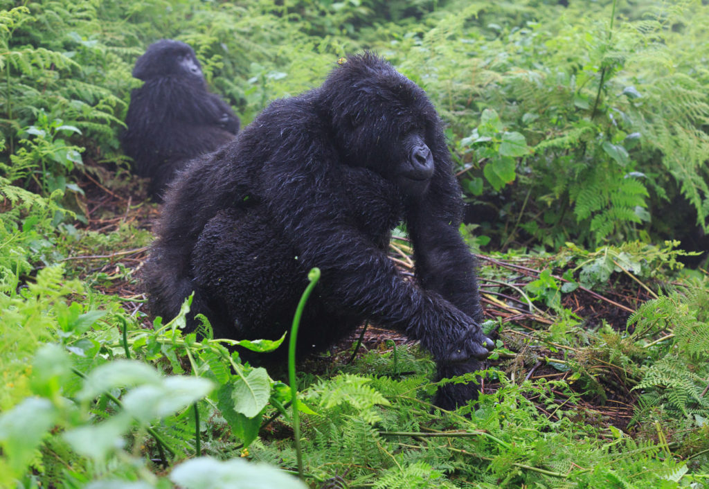 2014-09-04-africa-0424