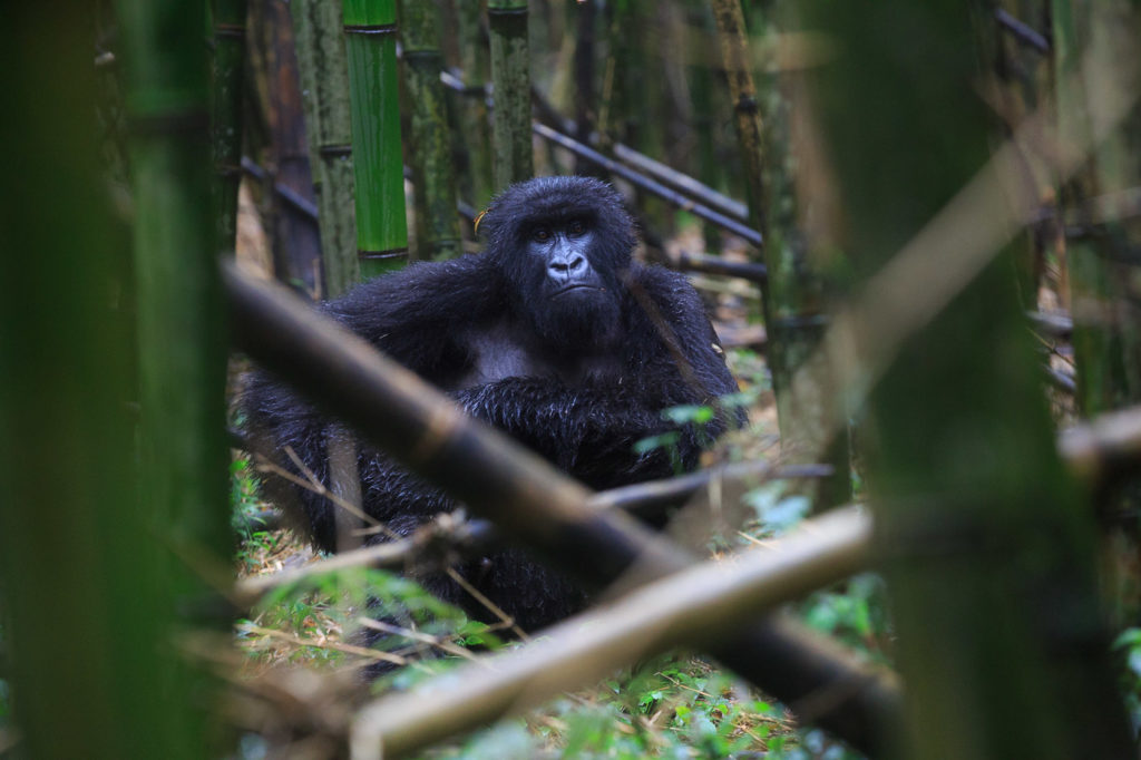 2014-09-04-africa-0482