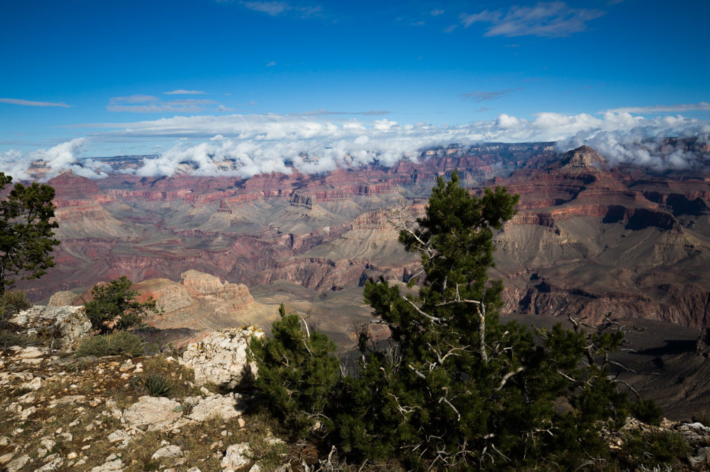 grand-canyon-5209