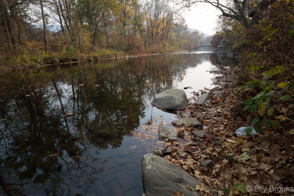 smoky-mountains-7317