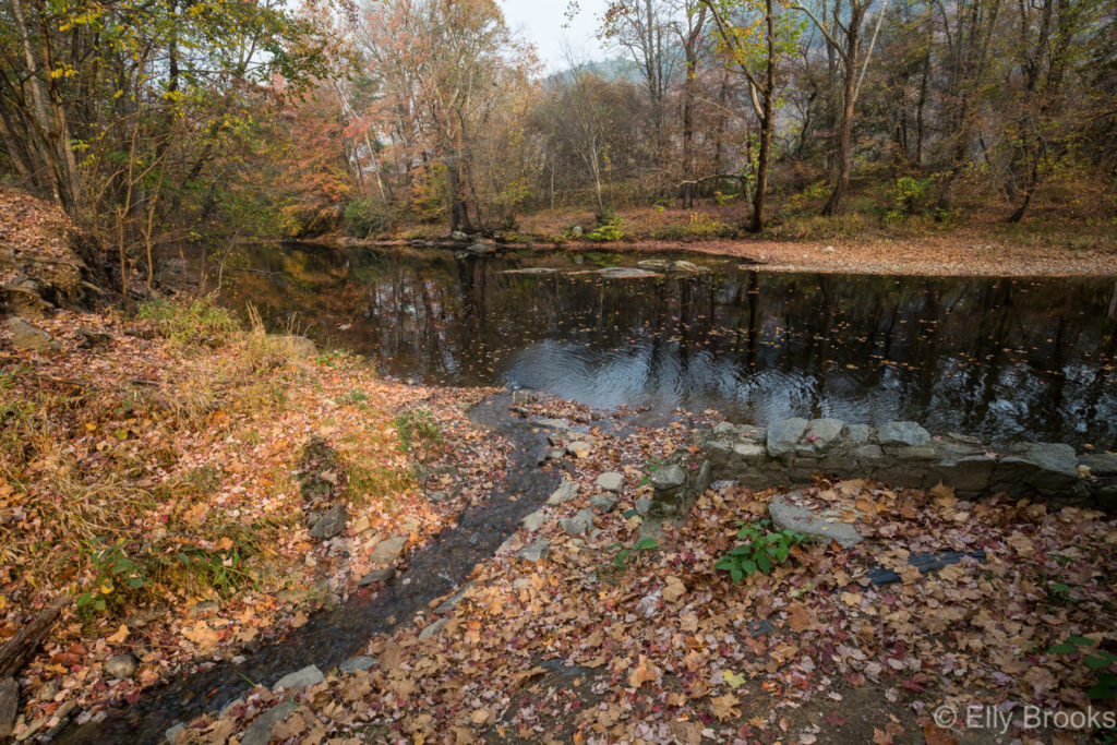 smoky-mountains-7321