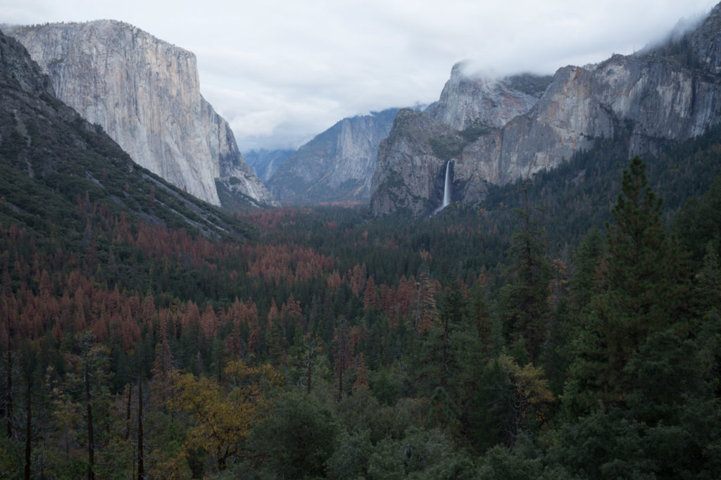 El Capitan