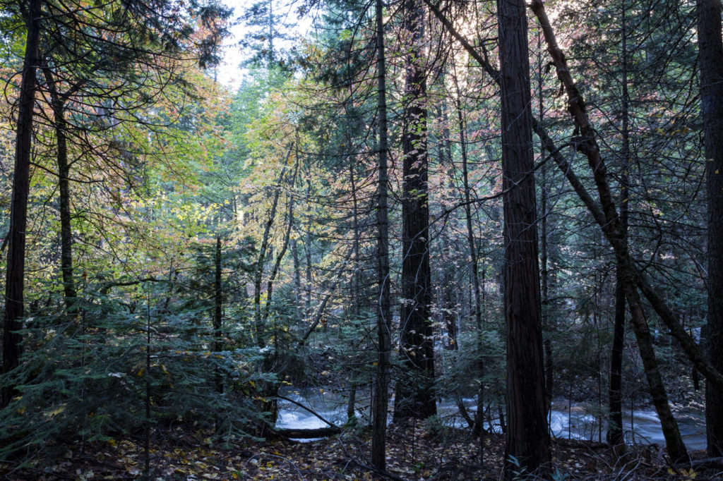 yosemite-np-6831