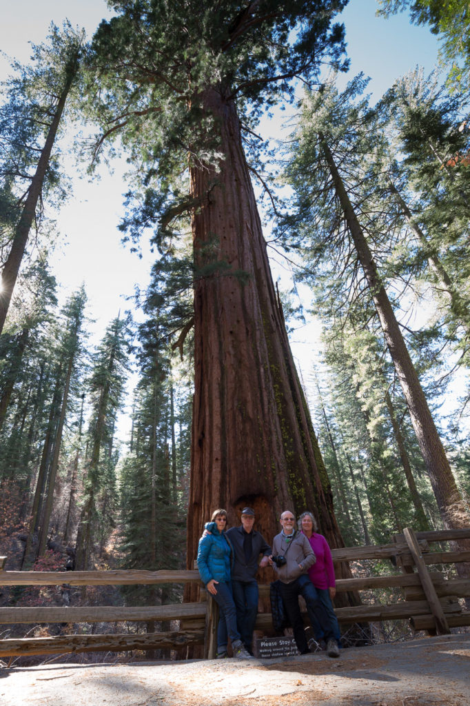 yosemite-np-7164